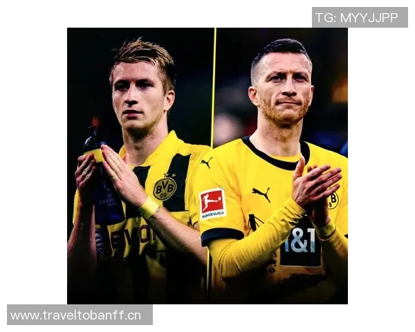 罗伊斯力挺布兰特留队多特未来合作前景可期