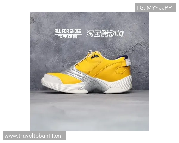 阿里纳斯直言艾弗森人气虽高却未获联盟力捧代言品牌仅限锐步