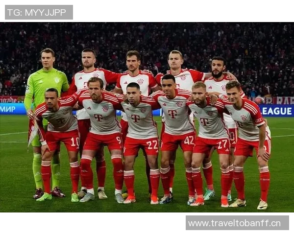 顶级俱乐部纷纷关注汉堡中卫武什科维奇拜仁在列 顶级俱乐部纷纷关注汉堡中卫武什科维奇拜仁在列